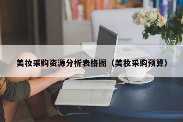 美妆采购资源分析表格图（美妆采购预算）