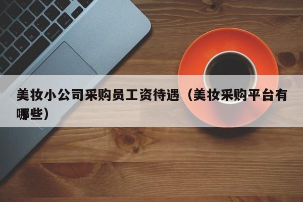 美妆小公司采购员工资待遇（美妆采购平台有哪些）