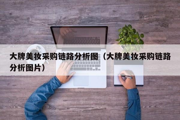 大牌美妆采购链路分析图（大牌美妆采购链路分析图片）