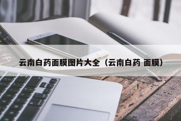 云南白药面膜图片大全(云南白药 面膜)