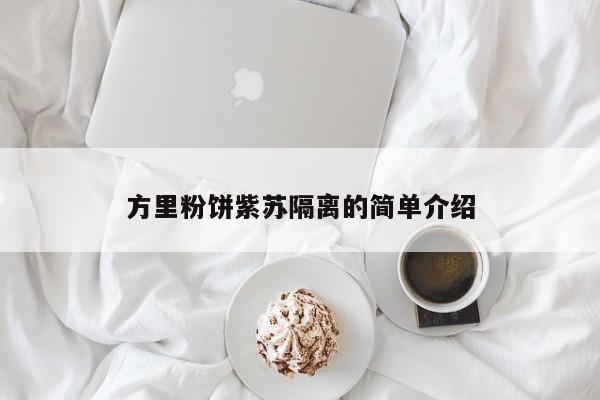 方里粉饼紫苏隔离的简单介绍