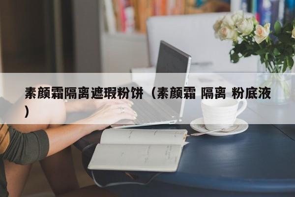 素颜霜隔离遮瑕粉饼（素颜霜 隔离 粉底液）