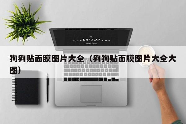 狗狗贴面膜图片大全(狗狗贴面膜图片大全大图)