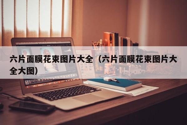 六片面膜花束图片大全(六片面膜花束图片大全大图)