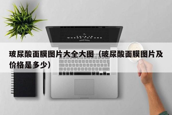 玻尿酸面膜图片大全大图（玻尿酸面膜图片及价格是多少）