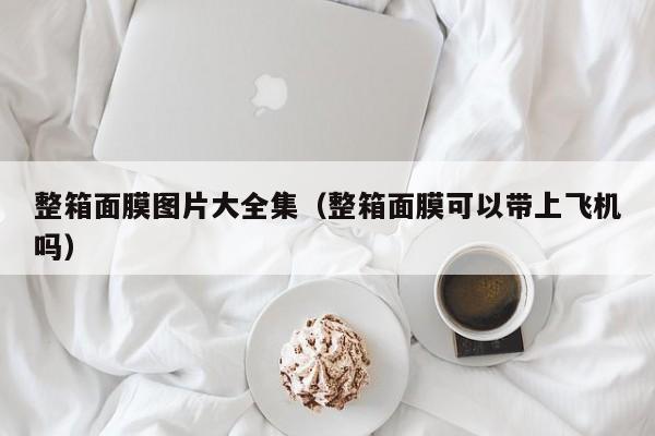 整箱面膜图片大全集（整箱面膜可以带上飞机吗）